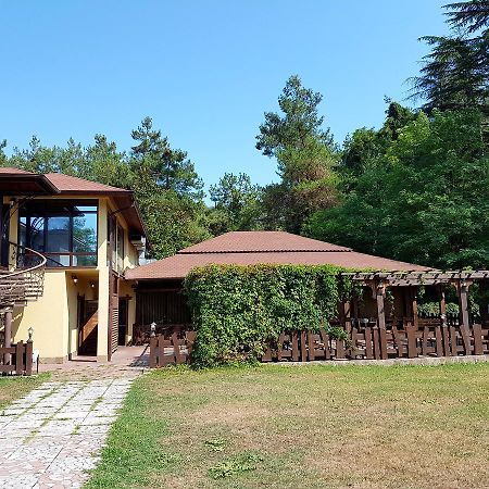 Guest House Black Sea Піцунда Екстер'єр фото